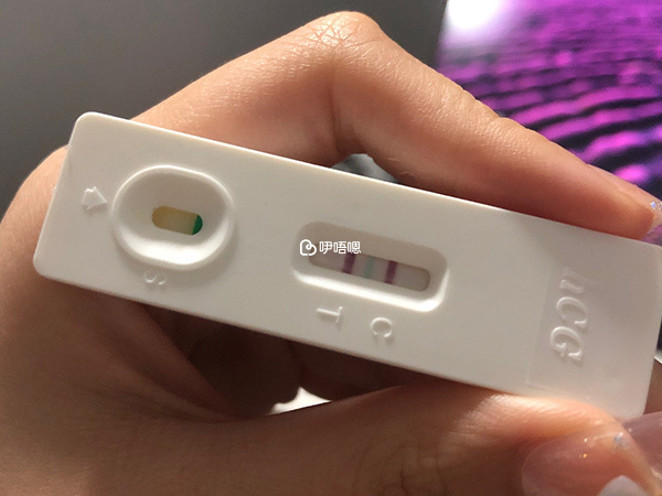驗孕顯示已經懷孕