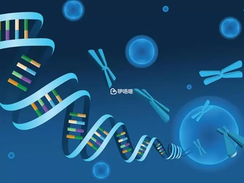 一胎特納不影響二胎