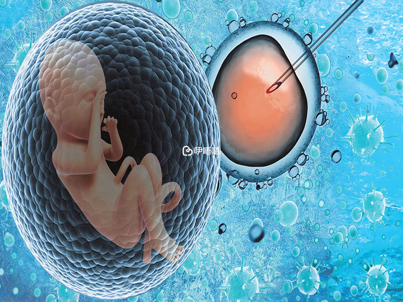 惠州第二婦幼位置