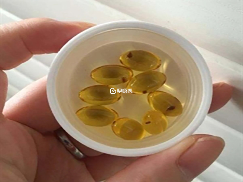 樂佳善優的dha評價