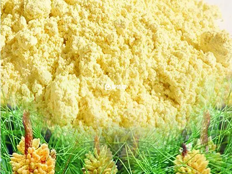 松花粉經常被用於功能性的保健品中