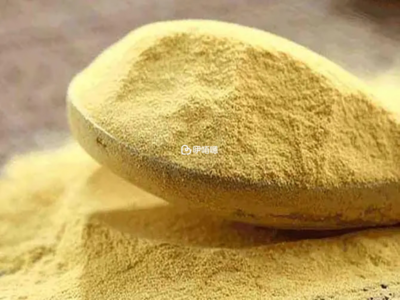 國珍松花粉在中老年人群體中十分流行