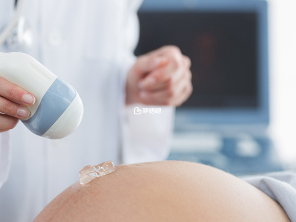 生女兒與同房次數無關