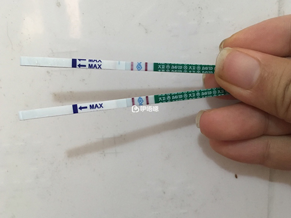 早孕試紙上有兩條槓代表懷孕
