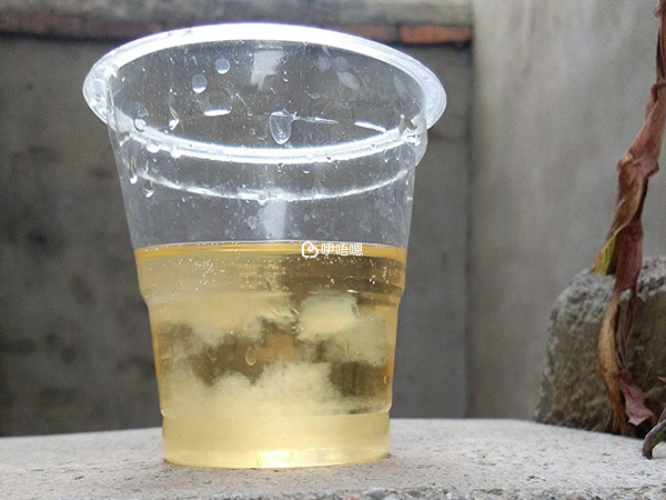 將牙膏加入晨尿