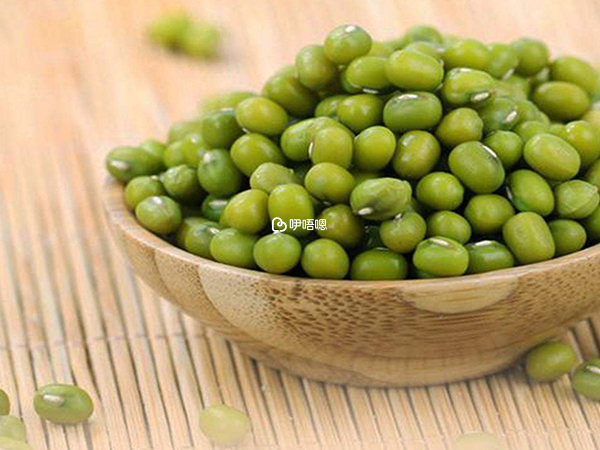 綠豆不能和玉米一起吃