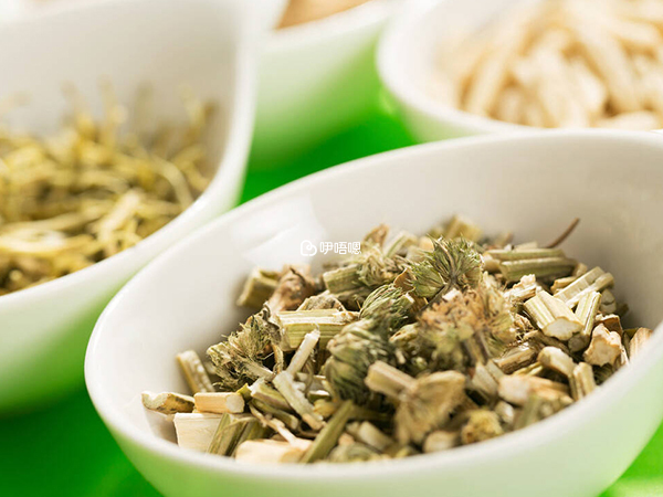 益母草煮當歸蛋能促月經來潮