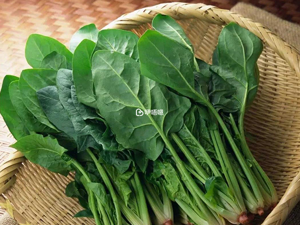 菠菜能幫助腸胃蠕動