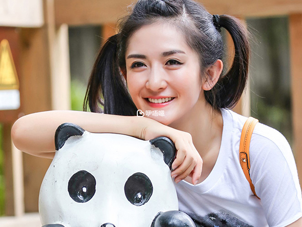 謝娜沒有承認去美國做試管嬰兒