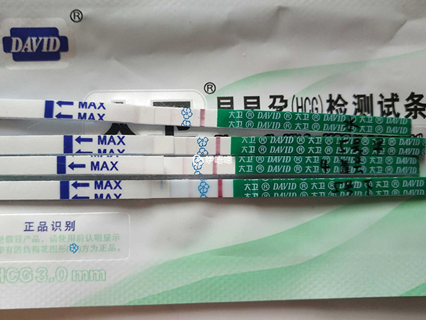 同房後14天可測出懷孕結果