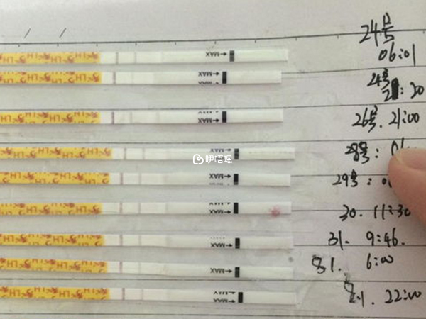排卵期間同房生兒子機率大
