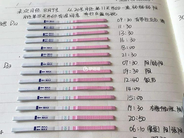 把握排卵日可提高生男孩機率