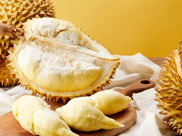 哺乳女性吃榴蓮對身體有好處