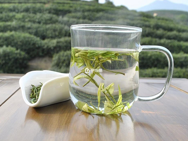 喝野蘭蕎茶能夠清除血管垃圾