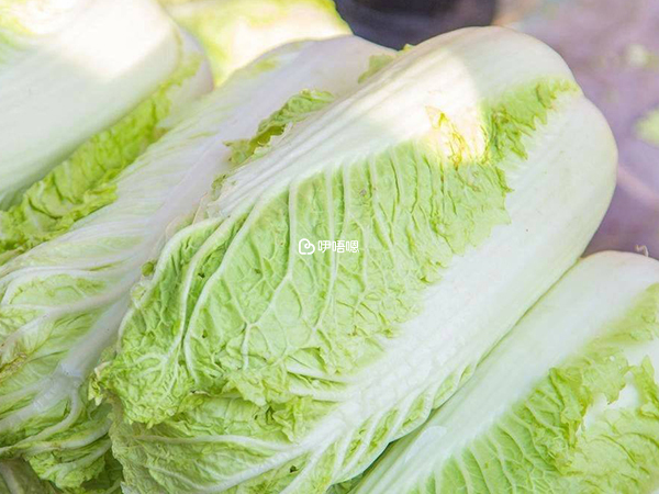 吃白菜能預防上火