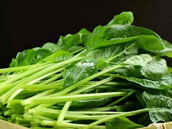 常吃菠菜能減少致癌物質堆積腸道