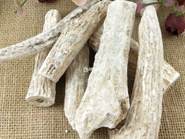 鹿角霜有補腎壯陽功效