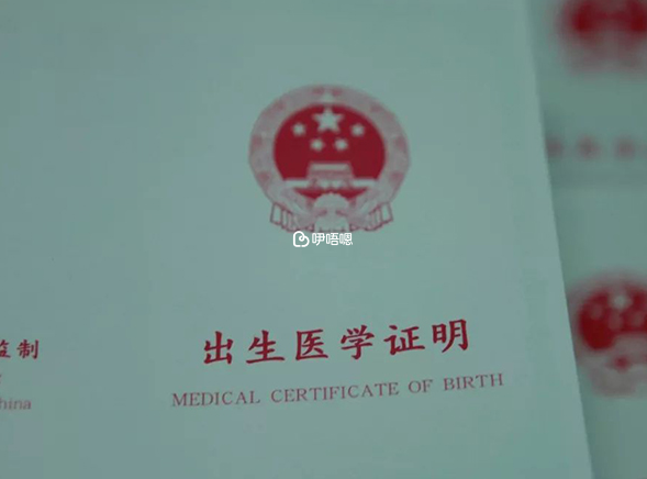 想在app上查看出生證需要申領電子出生證