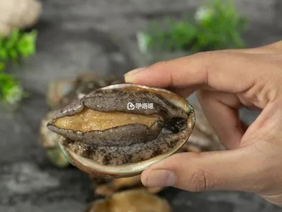 鮑魚有明目補虛、清熱滋陰的作用