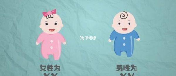 染色體判斷胎兒性別