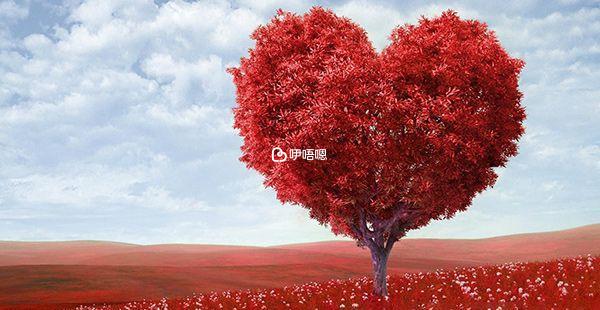 失獨補助金需要滿足的條件