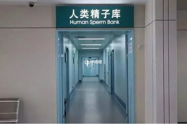 國內禁止單身女性申請精子庫