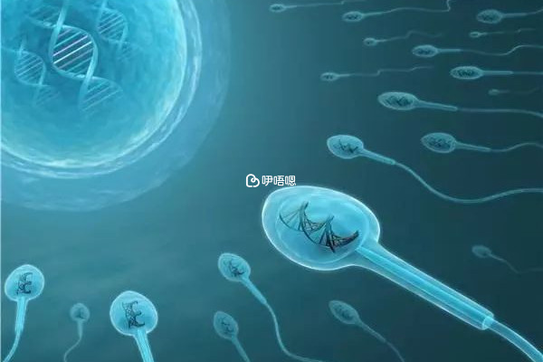 中信湘雅醫院精子庫精子都很健康