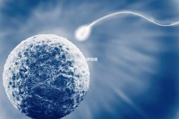 泰國做三代試管的成功率在60-70%左右