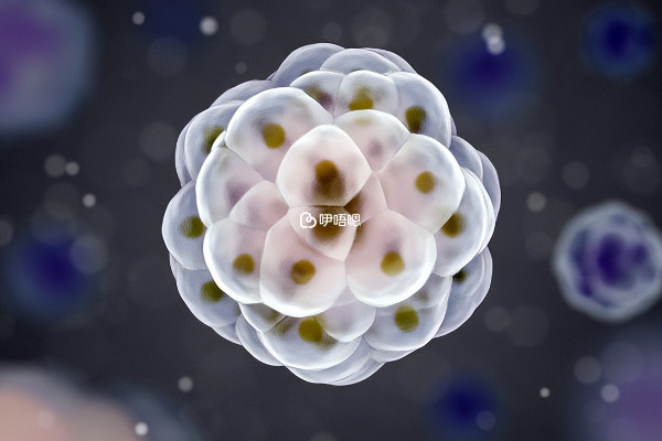 精子dna完整性一般不影響做二代試管