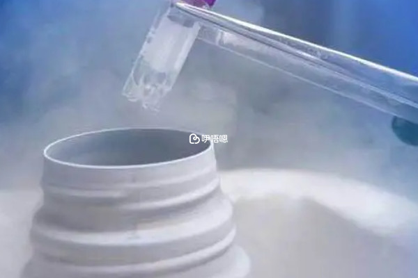 在國內精子庫冷凍精子需要的證明