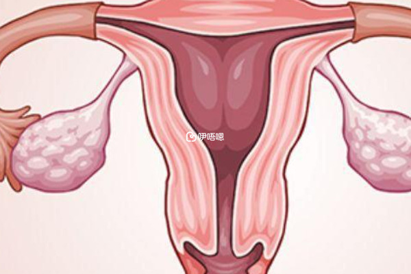 長方案適合卵巢功能較差的女性
