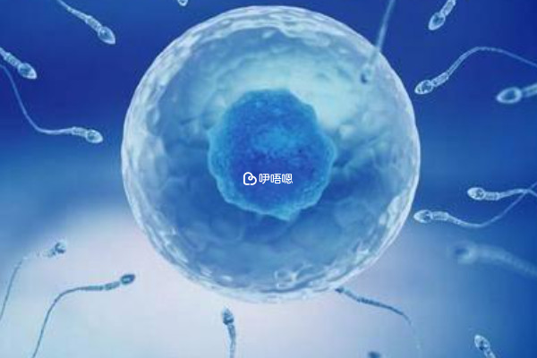 竇卵泡19個取卵6個是正常現象