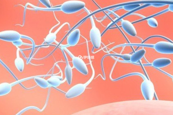 乙肝患者精子洗滌要抗體滴度大於10