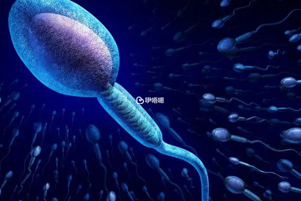 北京可進行精子冷凍的醫院