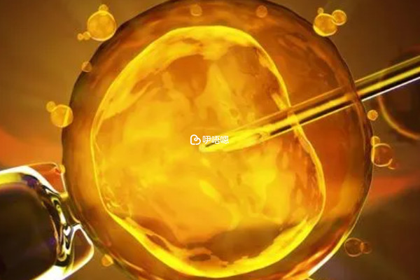美國三代試管嬰兒成功率排名