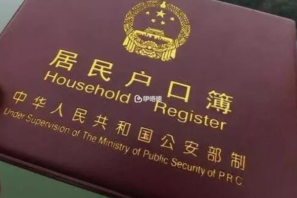 新生兒上戶不能超過12個月