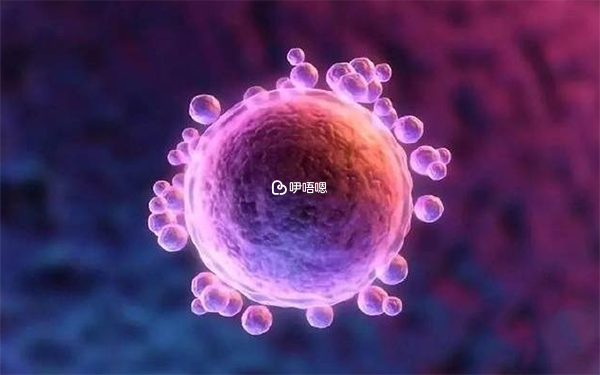 第三代試管嬰兒可以由醫生做性別選擇